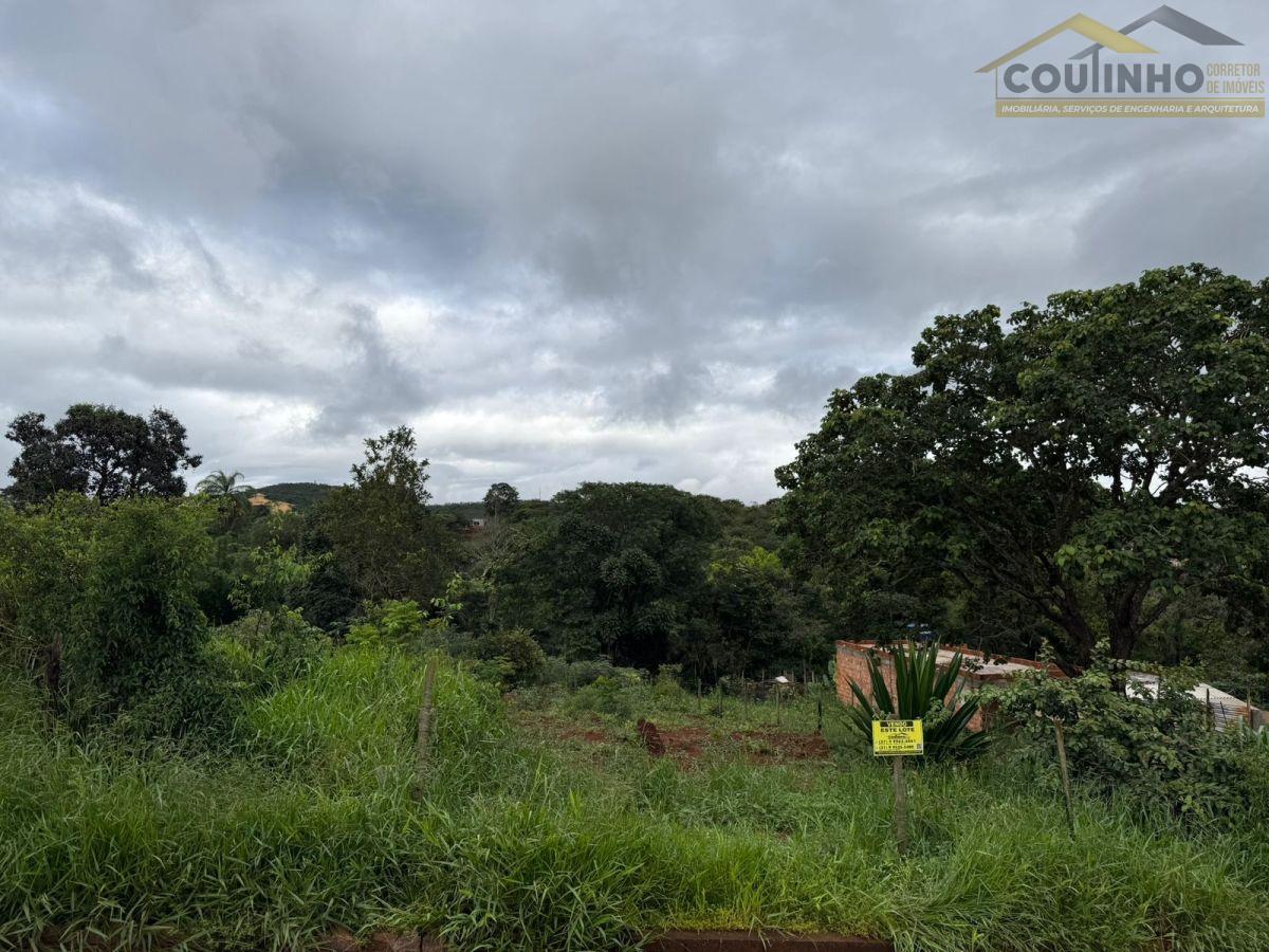 WhatsApp Image 2026-02-08 at 16.03.18 (1).jpeg